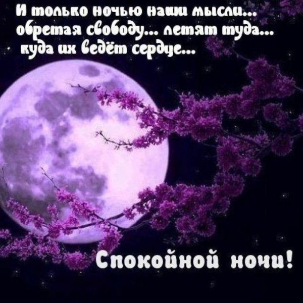 Спокойной ночи цитаты