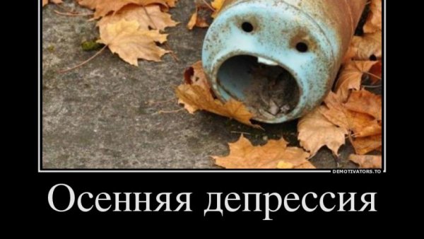 Осенняя депрессия приколы