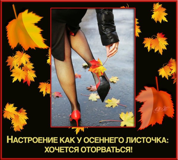 Осеннее настроение высказывания