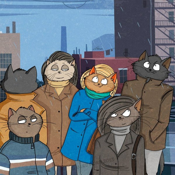 Bird born кот Степан