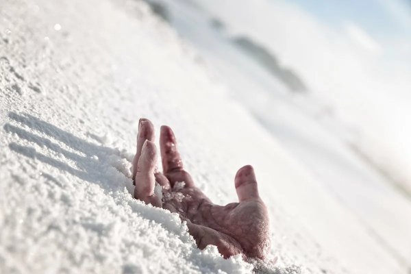 Белые ноги на белом снегу