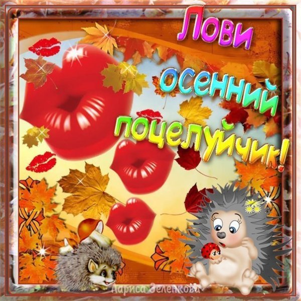 Осенний привет мужчине