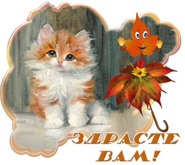 Красивые Стикеры для друзей