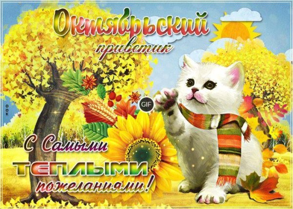 Октябрьский осенний приветик