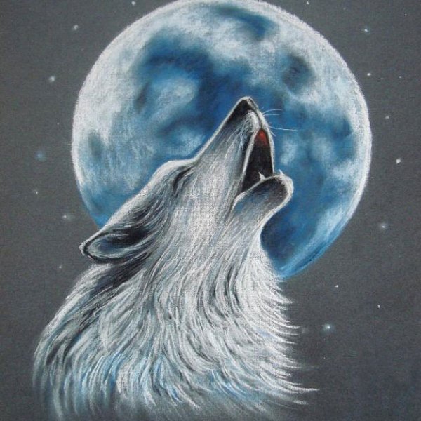 Рисунки Волков воющих на луну