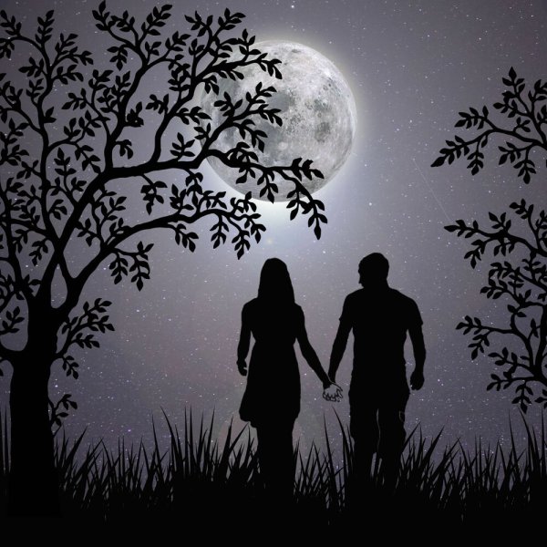 Прогулка под луной