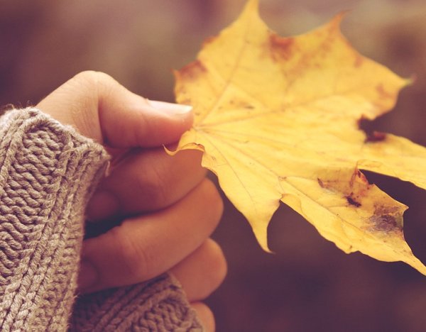 Листик в руке