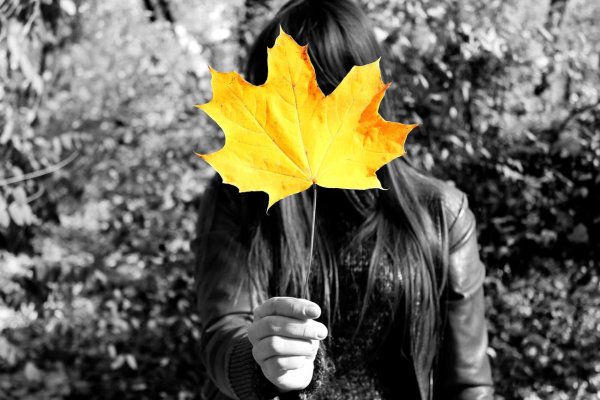 Осень на аву