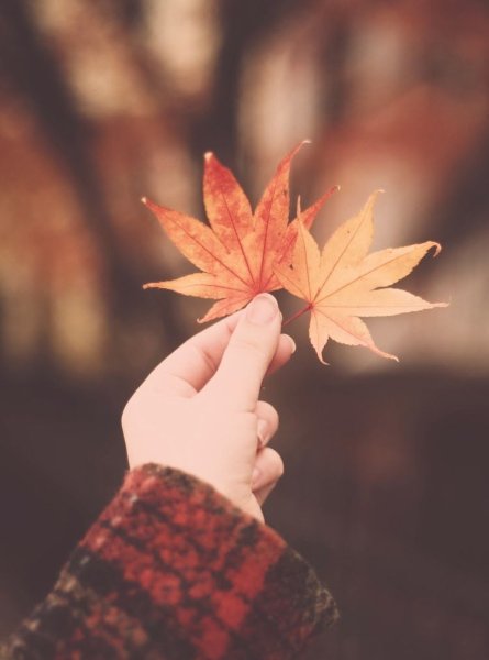 Осенний аватар