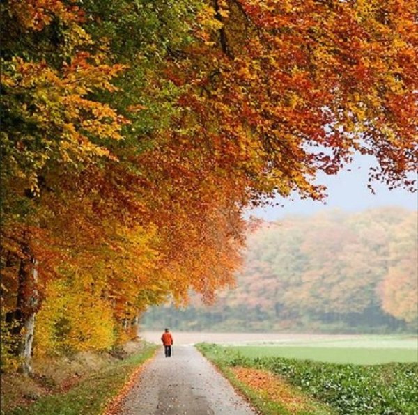 Ава осень природа