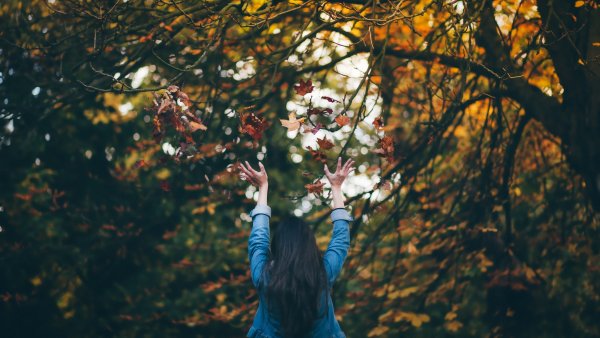 Брюнетка осенью со спины