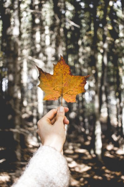 Осенняя ава