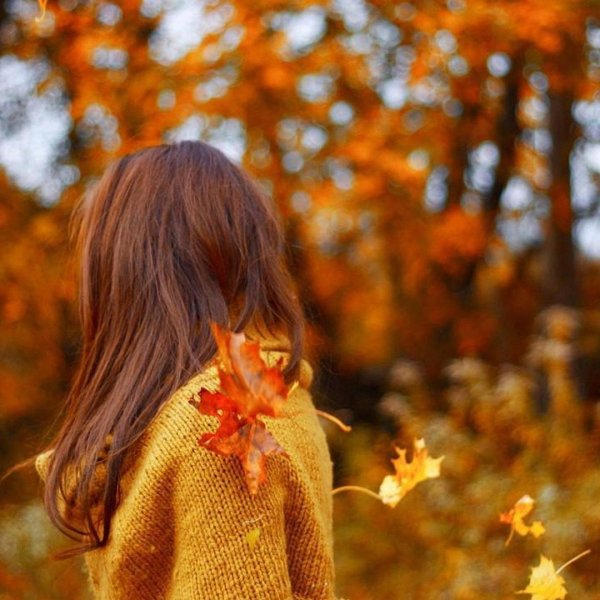 Осень девушка со спины (61 фото)