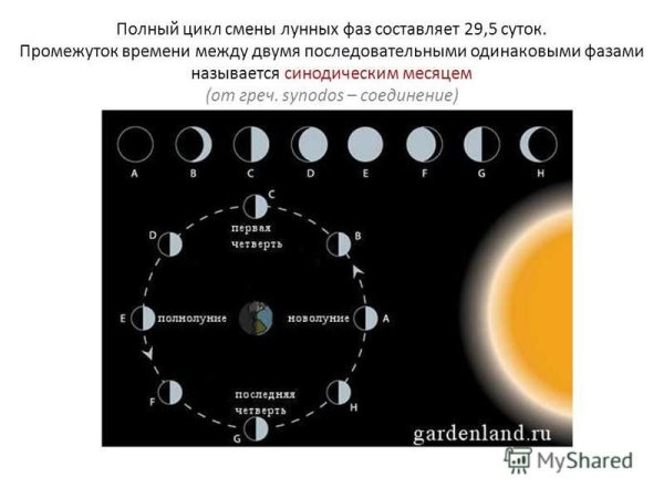 Фазы Луны синодический и сидерический месяцы