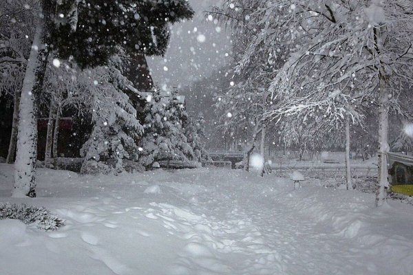 Зима падает снег