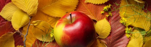 Обложка для одноклассников осень