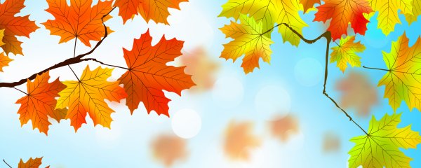 Фон для баннера осень