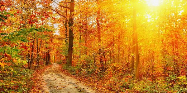 Обложка для одноклассников осень