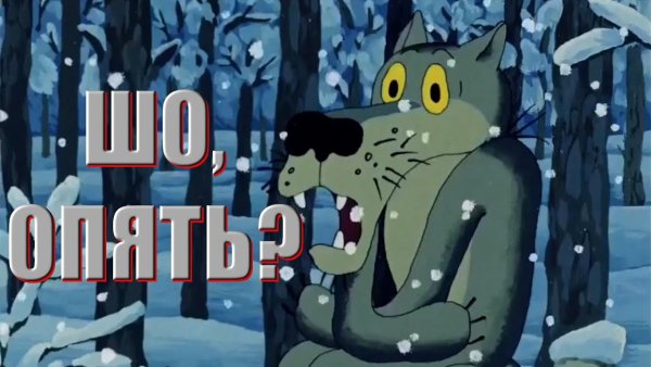 Шо опять волк