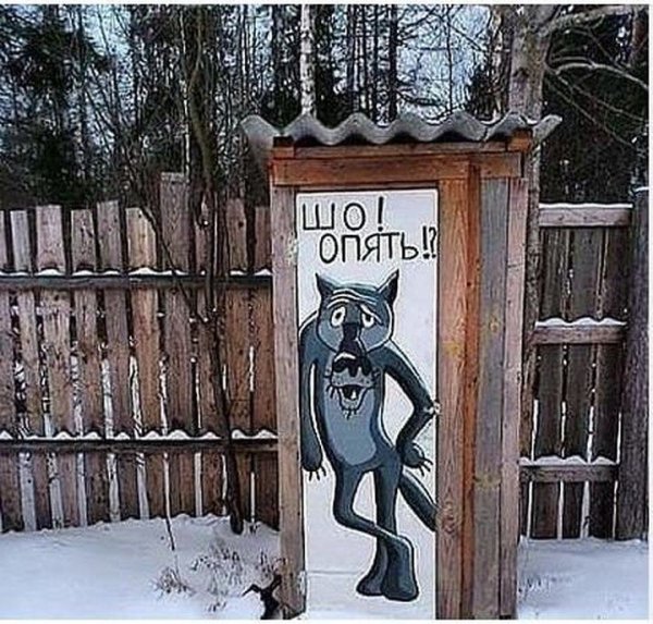 Шо опять волк