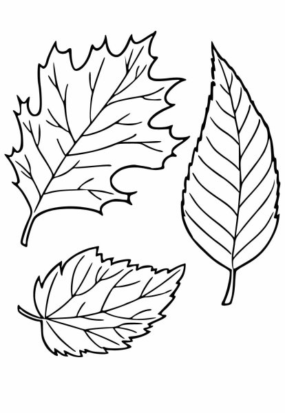 Листочки раскраска