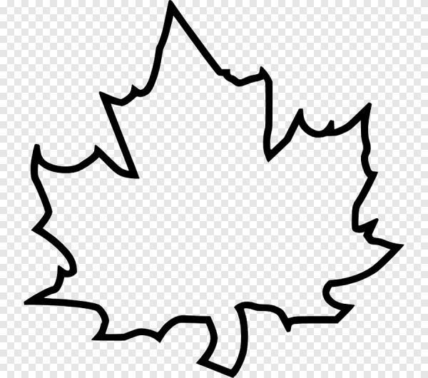 Трафареты кленовых листьев