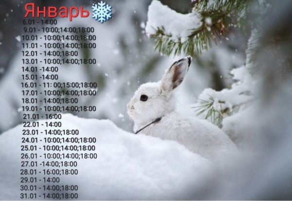 Зимний зайчик