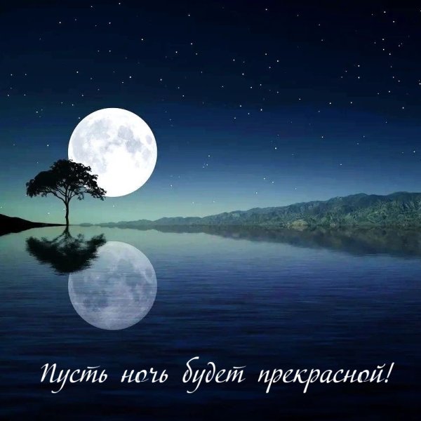 Доброй лунной ночи