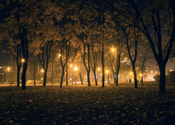 Ночной осенний парк
