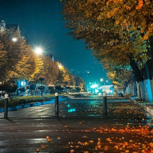 Город Орел осенью вечерр