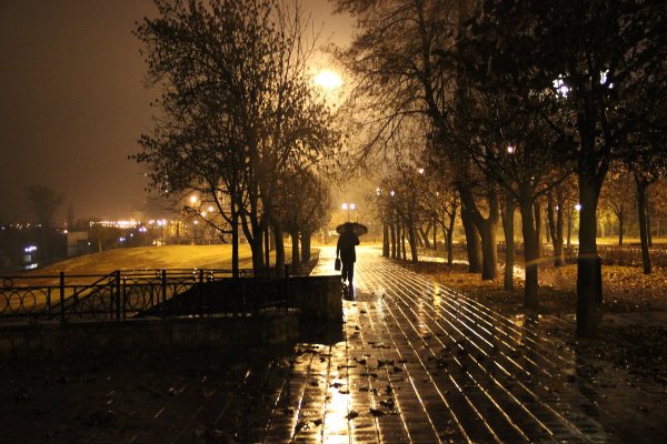 Дождливый вечер в парке