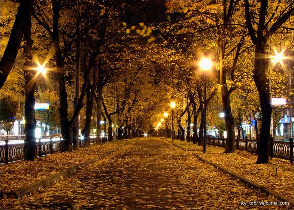Ночной парк город Ставрополь