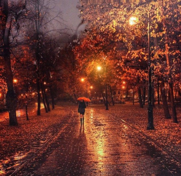 Осень вечер