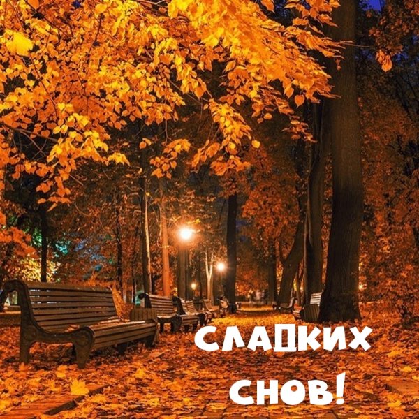 Осенний парк ночью