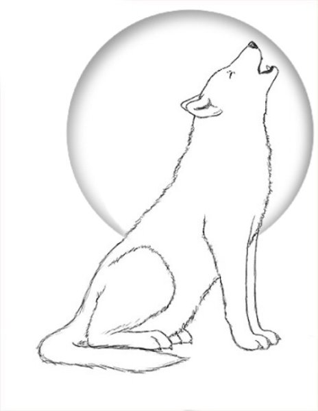 Волк воет на луну рисунок карандашом