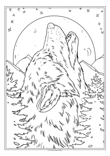 Раскраска волк воет