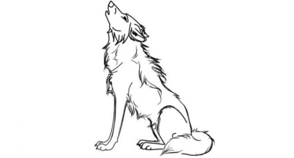 Раскраска Звездный волк