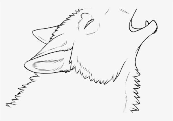 Голова воющего волка