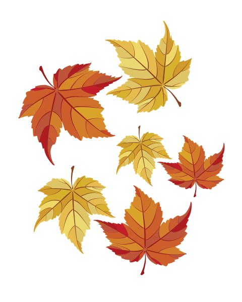 Осенние листья небольшие