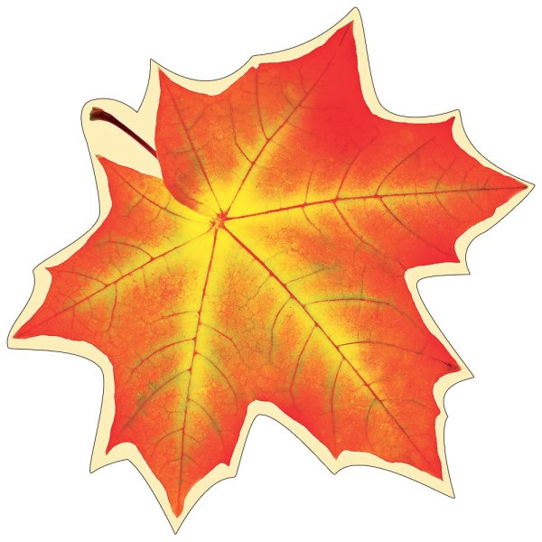 Кленовый лист печать