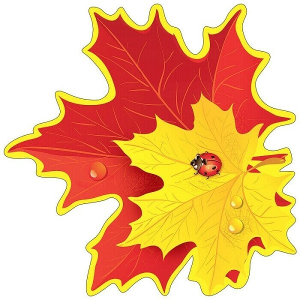 Осенние листья