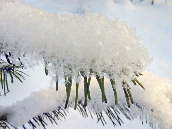 Белый снег пушистый