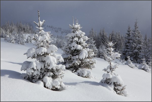 Зима пушистый снег
