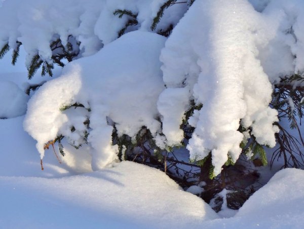Зимой падает пушистый снег