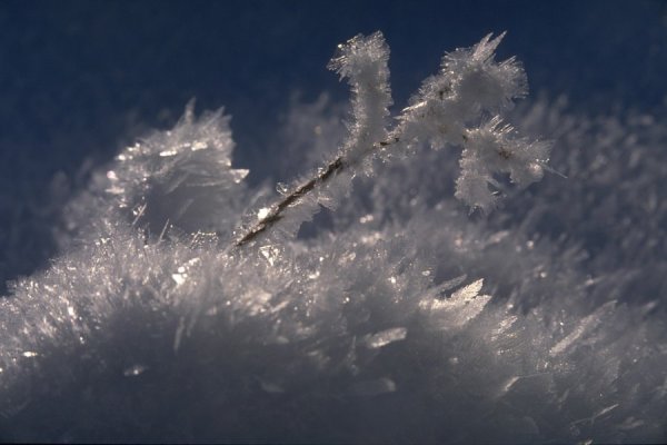 Заснеженная нежность