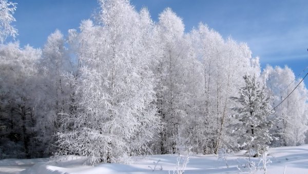 Время года зима