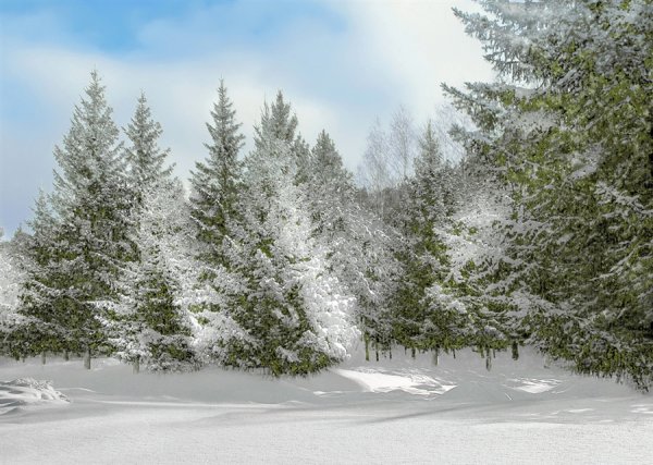 Зимние зарисовки