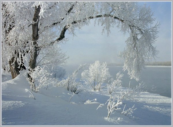 Серебристая зима