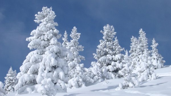 Белоснежная зима