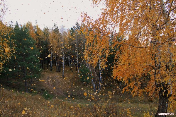 Октябрь осенняя песнь